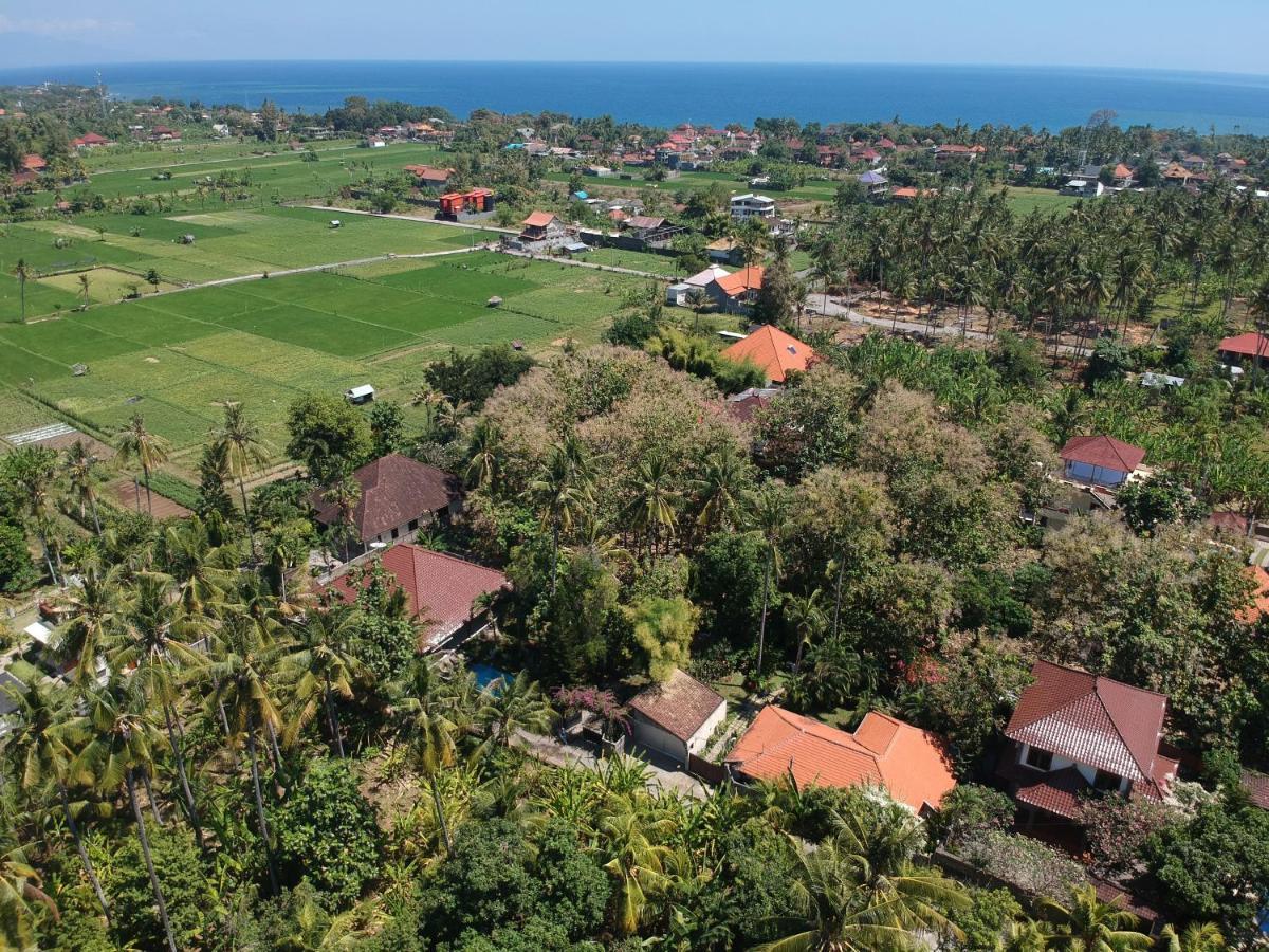 Villa Kelapa Lovina Екстериор снимка